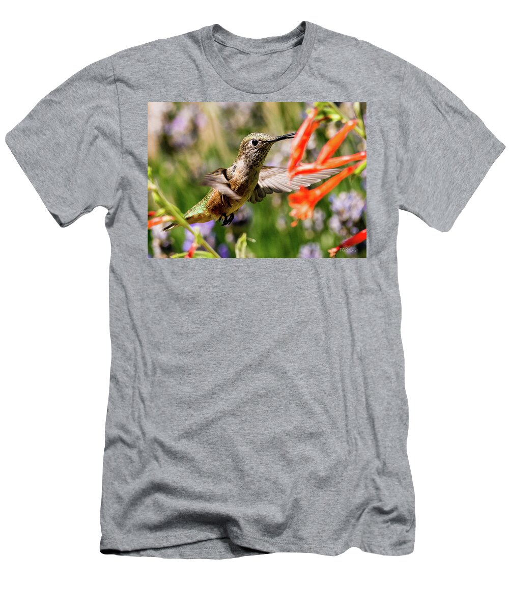 Broadtail Hummingbird T-Shirt featuring the photograph Female Broadtail Humingbird by Tim Kathka