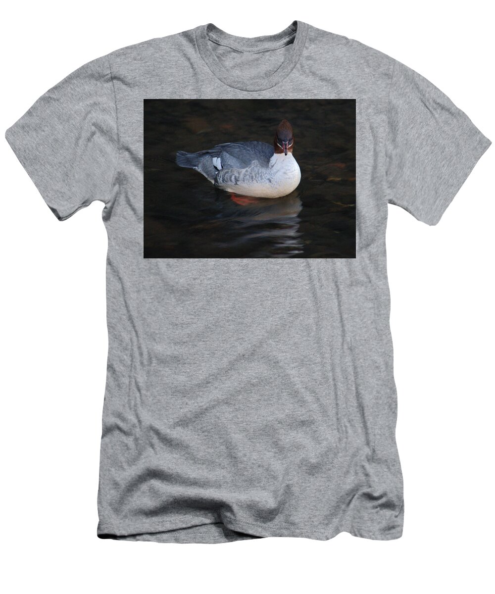 Female T-Shirt featuring the photograph Female Goosander In River by Adrian Wale