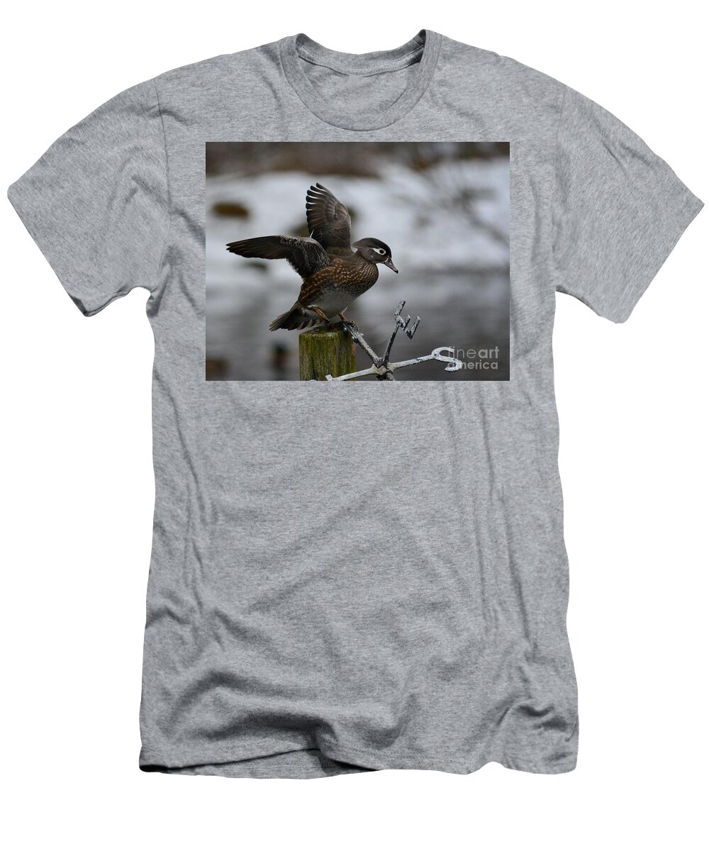 Wood Duck T-Shirt featuring the photograph Female Wood Duck by Steve Brown