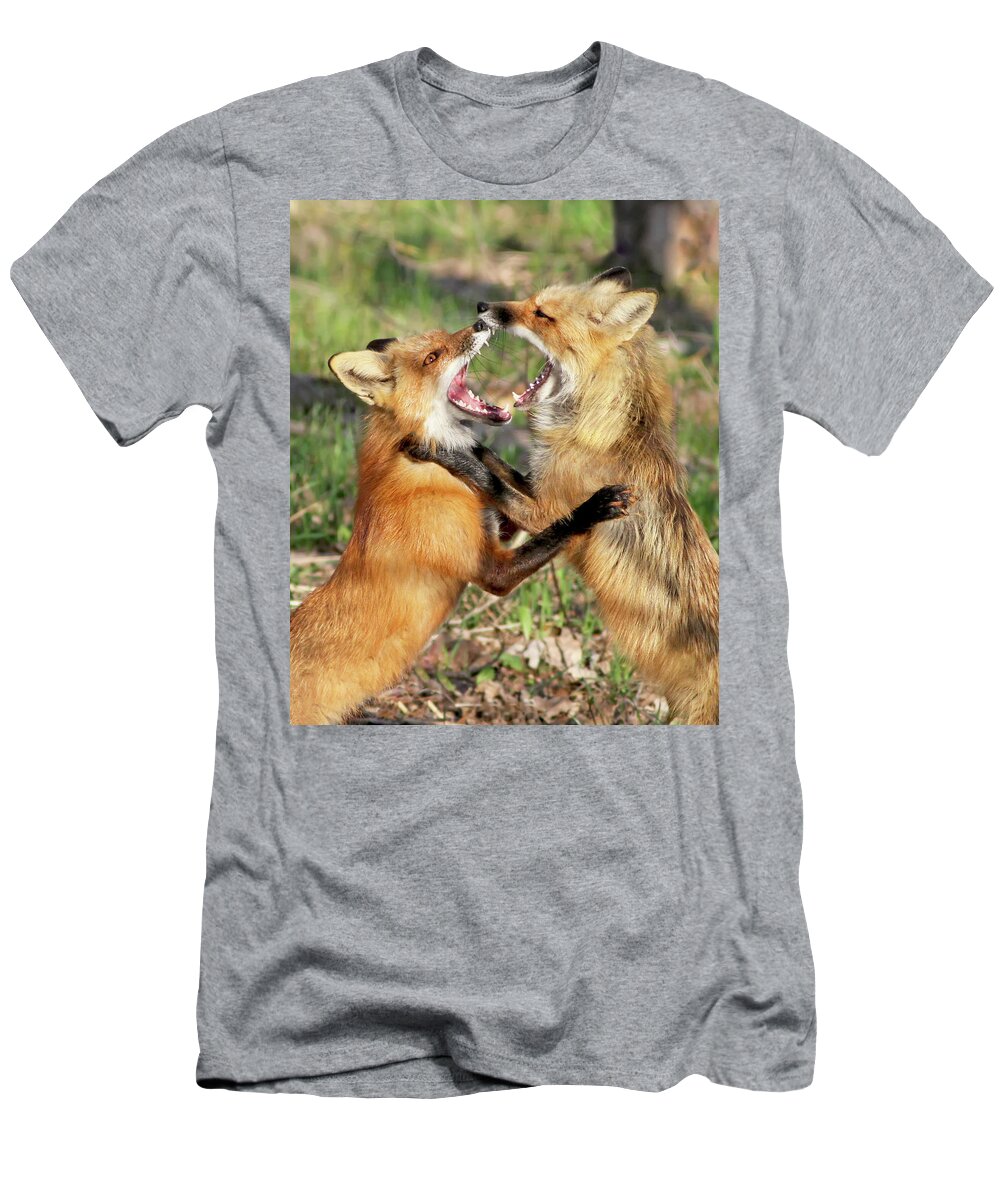 Fox T-Shirt featuring the photograph Fight Club II by Mircea Costina Photography