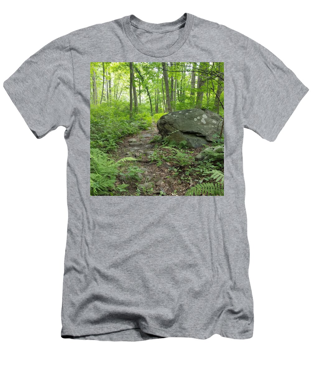 Path T-Shirt featuring the photograph Find Your Path by Vic Ritchey