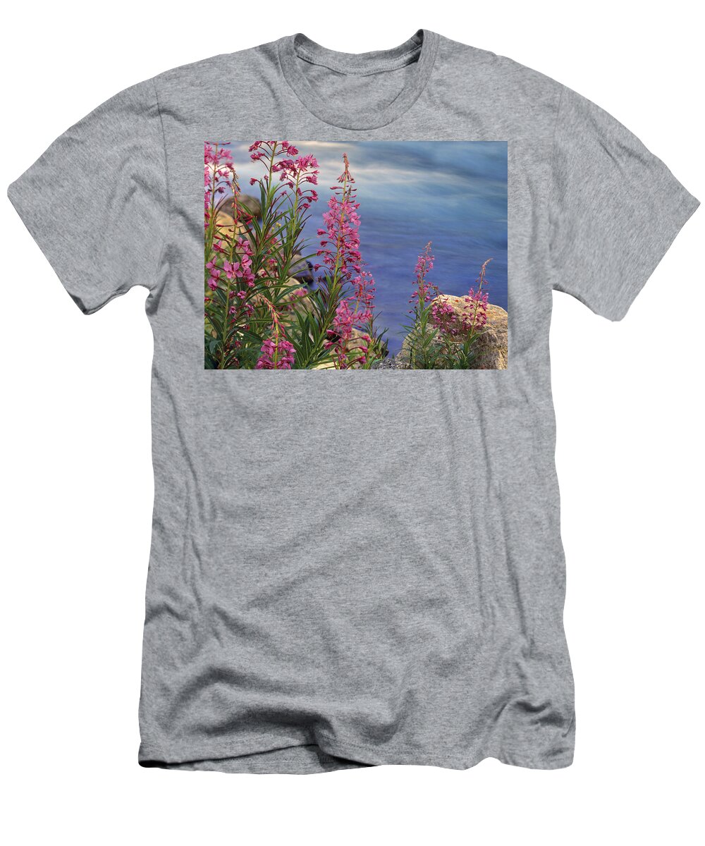 00176685 T-Shirt featuring the photograph Fireweed Against Flowing Stream North by Tim Fitzharris
