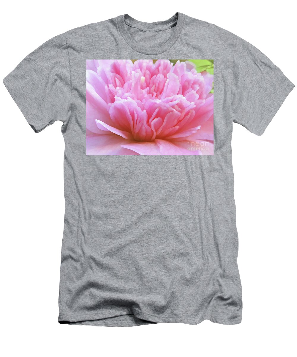 Camellia T-Shirt featuring the photograph Flamboyant Camillia by Kim Tran