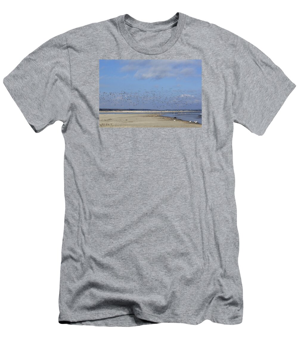 Seaside T-Shirt featuring the photograph Flight by Tammy Schneider