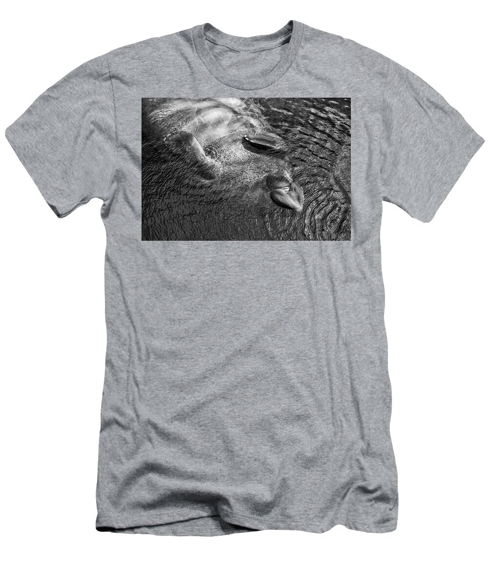 Manatee T-Shirt featuring the photograph Floating Manatee by Louise Lindsay