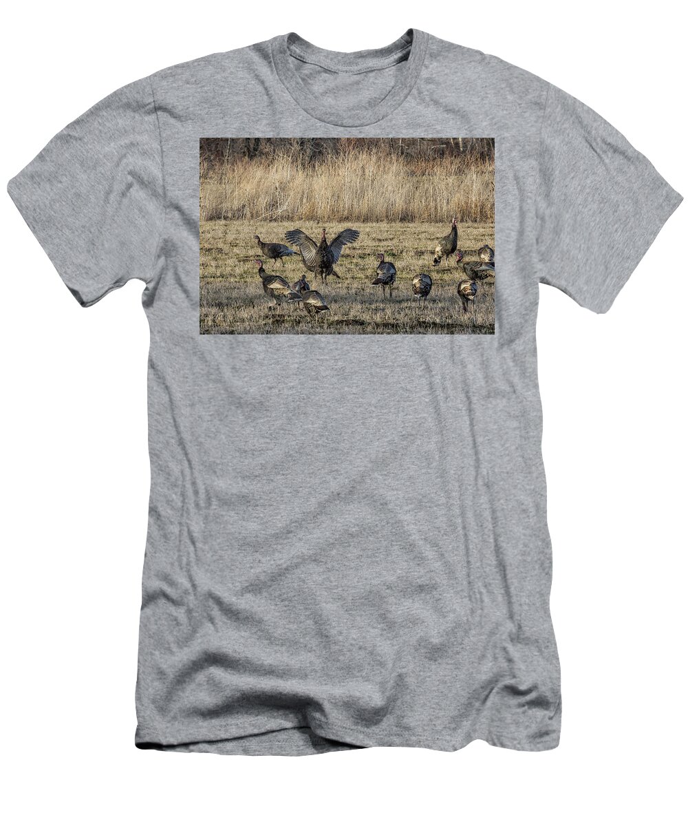 Turkeys T-Shirt featuring the photograph Flock of Wild Turkeys by Belinda Greb