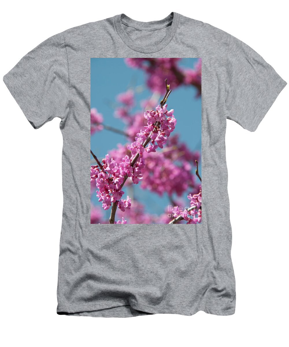 Blooming Redwood Tree T-Shirt featuring the photograph Spring Blossom by Pamela Williams