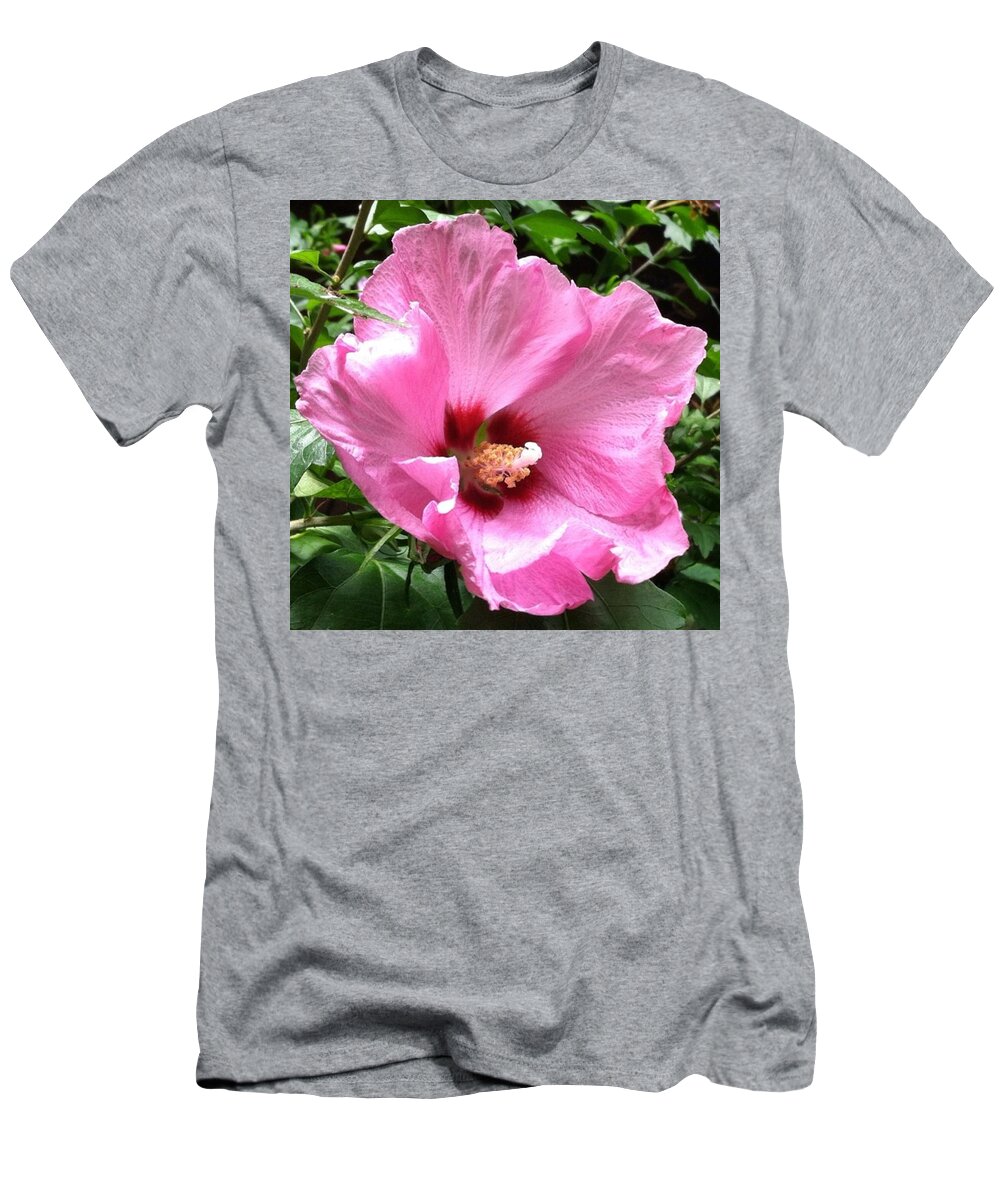 Pink T-Shirt featuring the photograph #flowers #pink #floral by Jennifer Beaudet