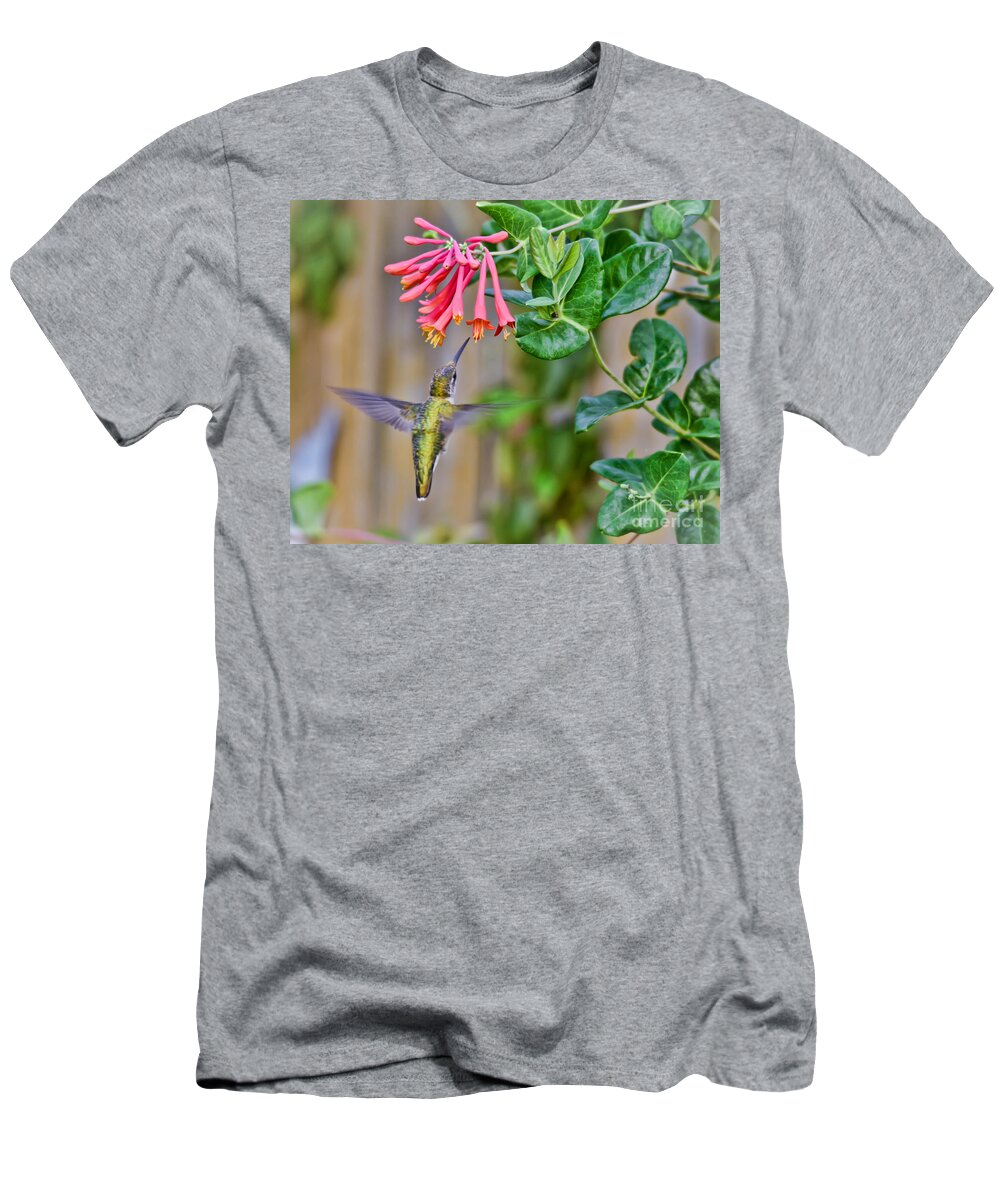 Hummingbird T-Shirt featuring the photograph Flying Jewel by Kerri Farley