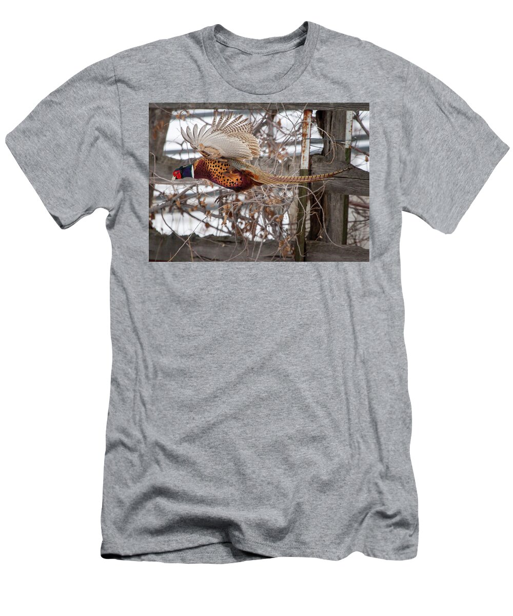 Pheasant T-Shirt featuring the photograph Flying Pheasant by Wesley Aston