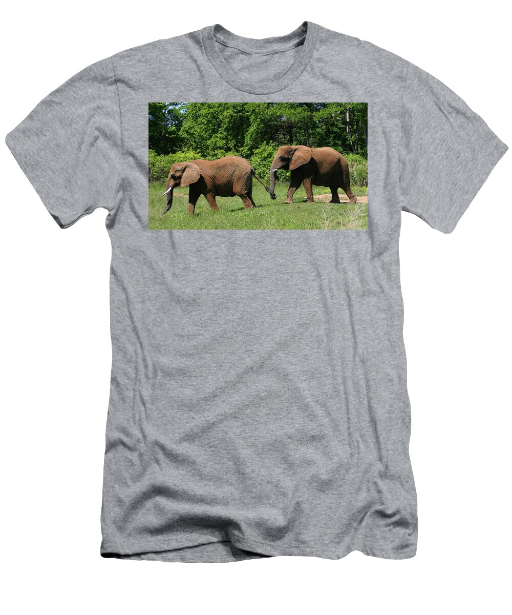 Elephant T-Shirt featuring the photograph Follow the Leader by Kristin Elmquist