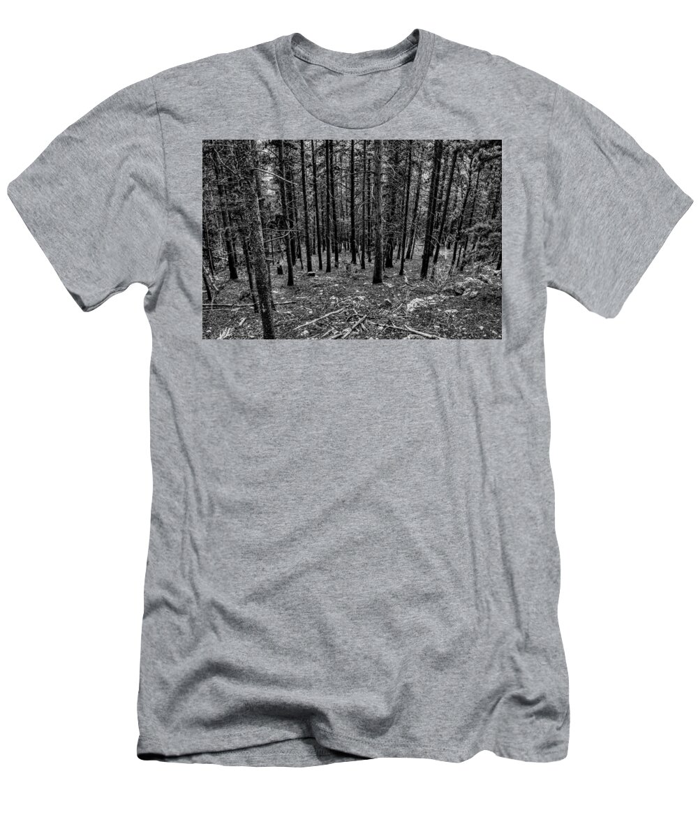 Pine Forest T-Shirt featuring the photograph Forest Fade by Michael Brungardt