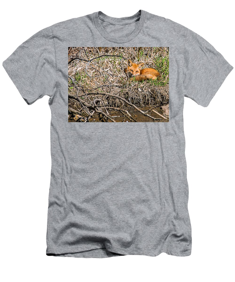 Heron Heaven T-Shirt featuring the photograph Fox Napping by Ed Peterson
