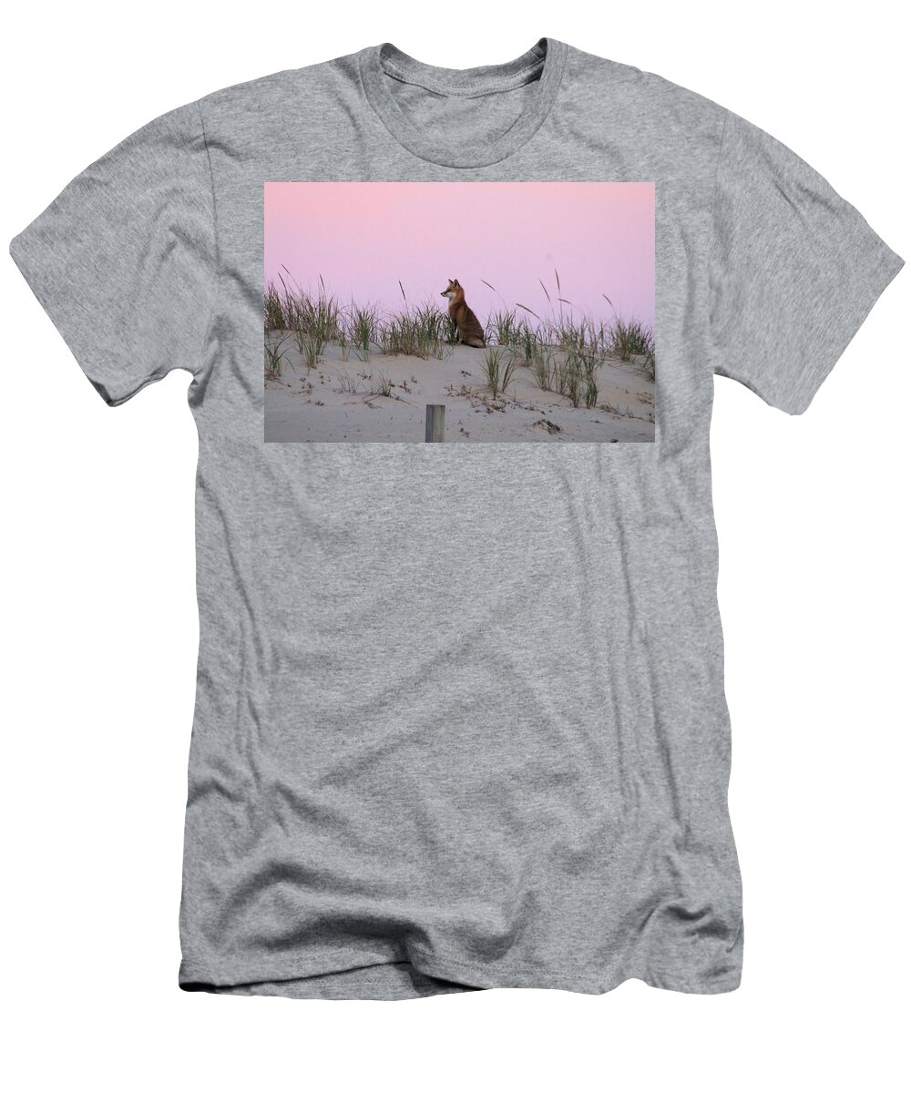 Fox T-Shirt featuring the photograph Fox On The Dune At Dawn by Robert Banach