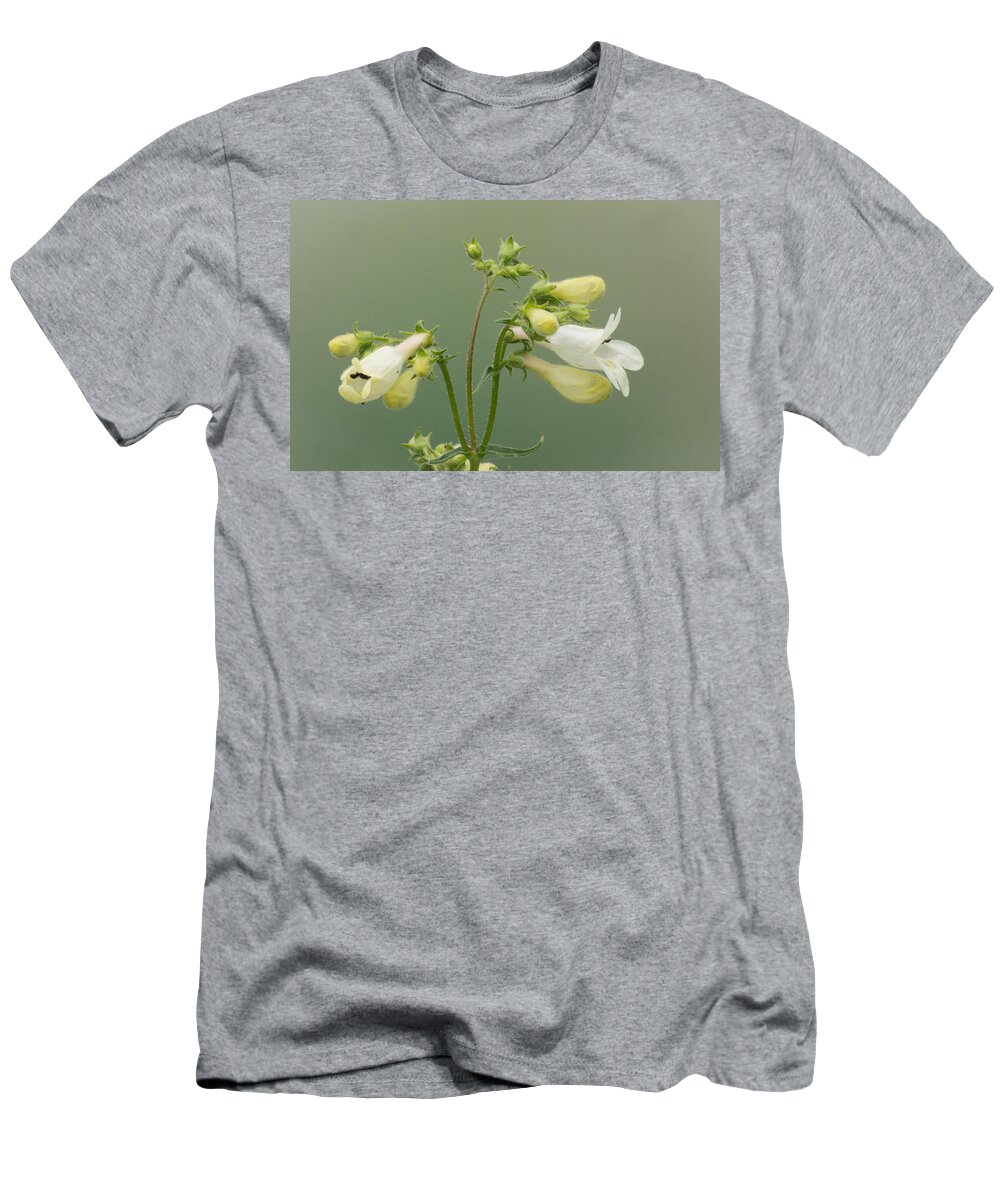 Prairie Wildflowers T-Shirt featuring the photograph Foxglove Beardtongue by Jim Zablotny