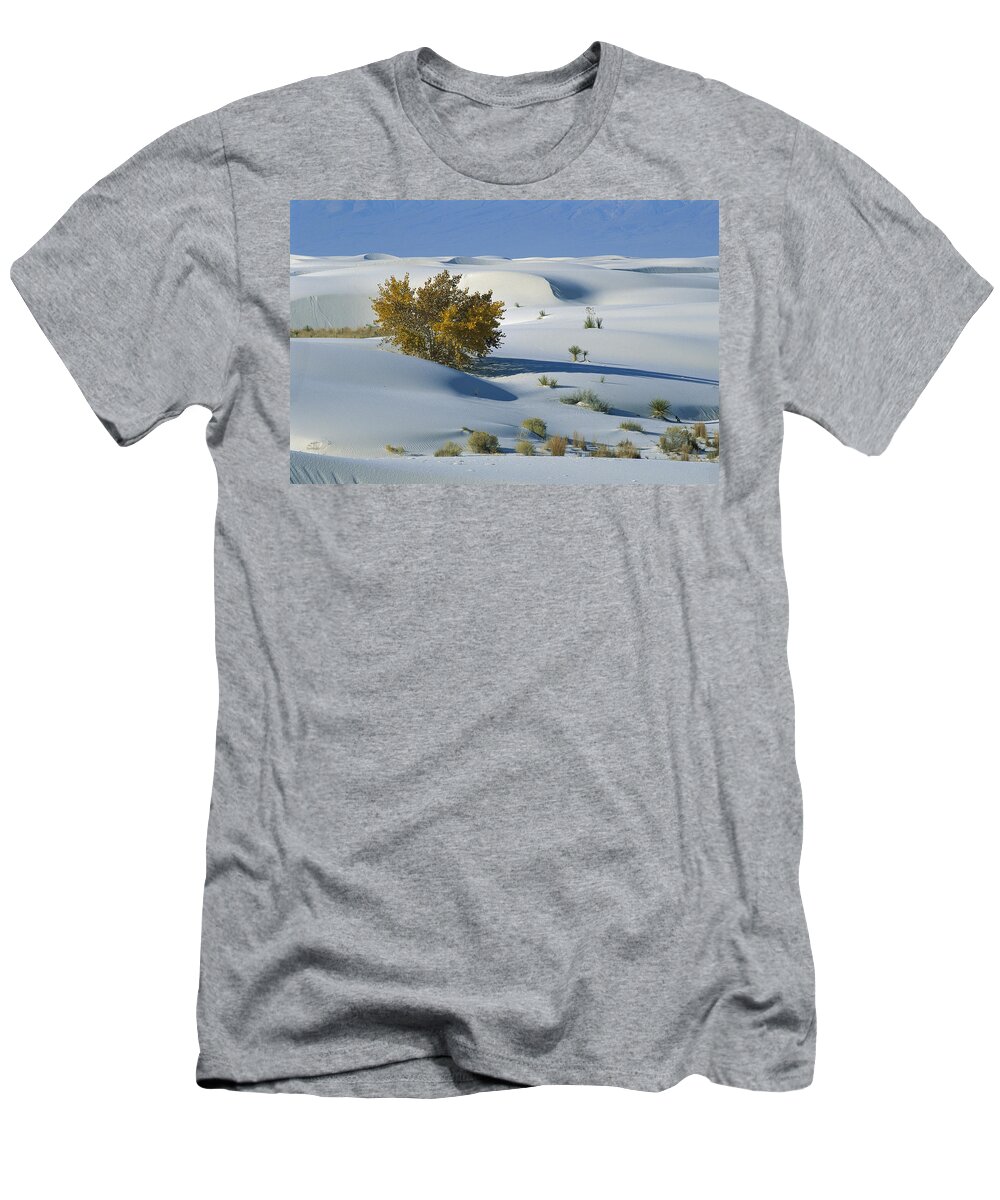 00198316 T-Shirt featuring the photograph Fremont Cottonwood at White Sands by Konrad Wothe