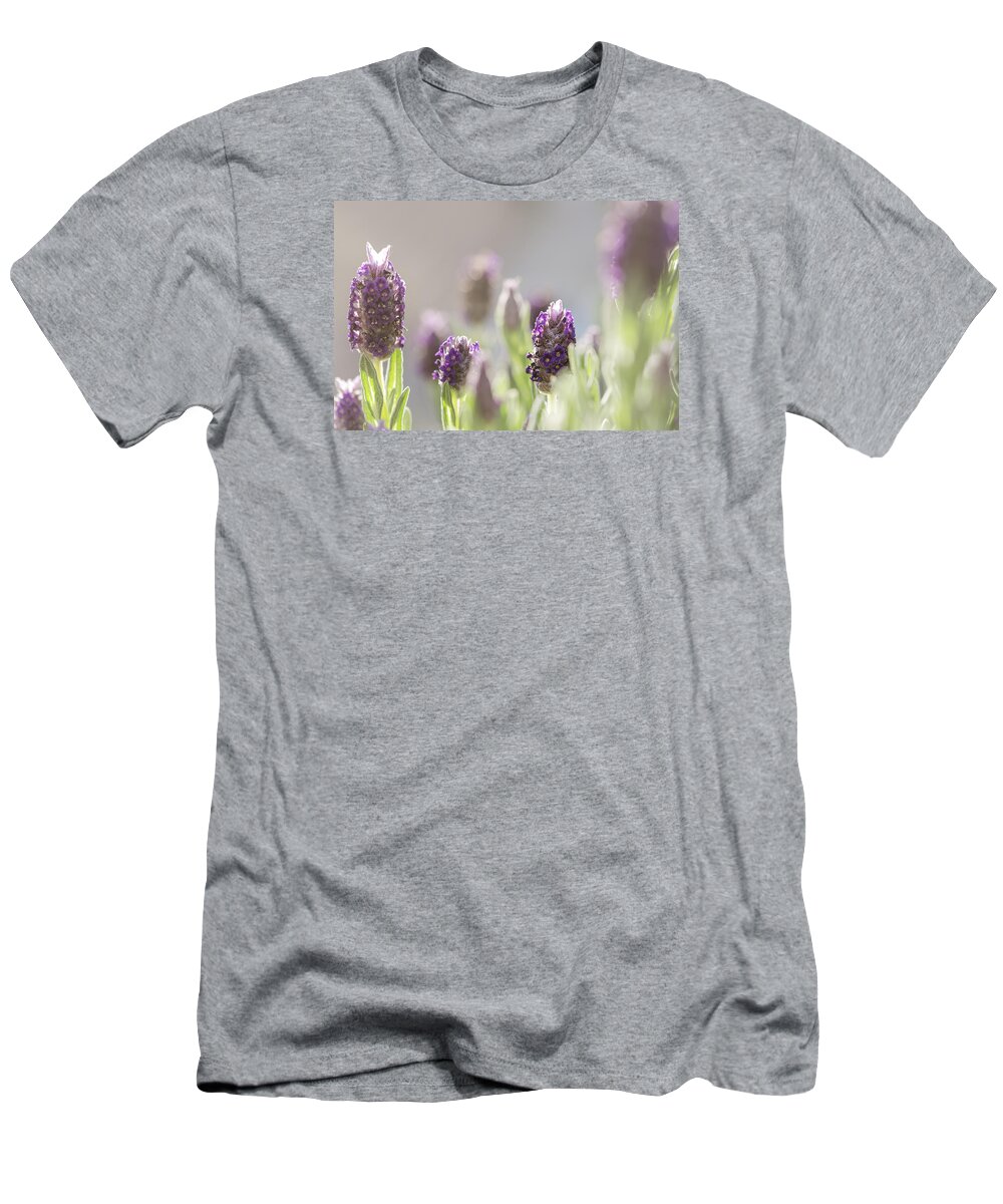 Flowr T-Shirt featuring the photograph French Lavendar Buds by Mary Angelini