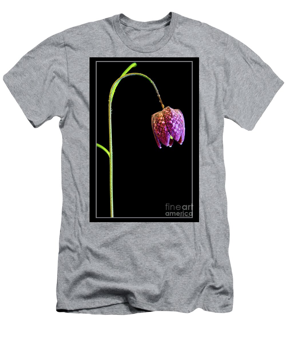Fritillaria Meleagris T-Shirt featuring the photograph Fritillaria meleagris, Snakes Head fritillary by Andy Myatt