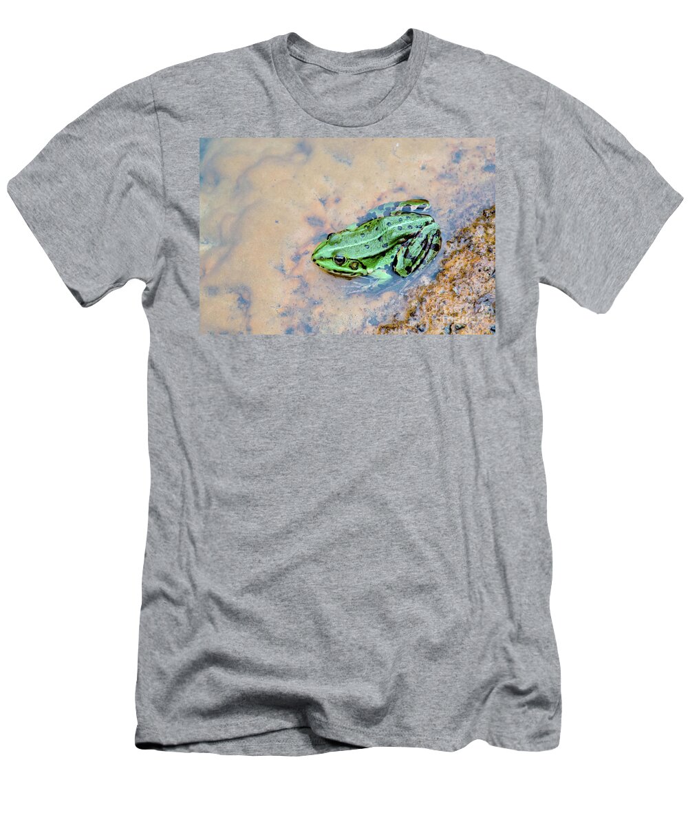 Active T-Shirt featuring the photograph Frog in a pond by Amanda Mohler