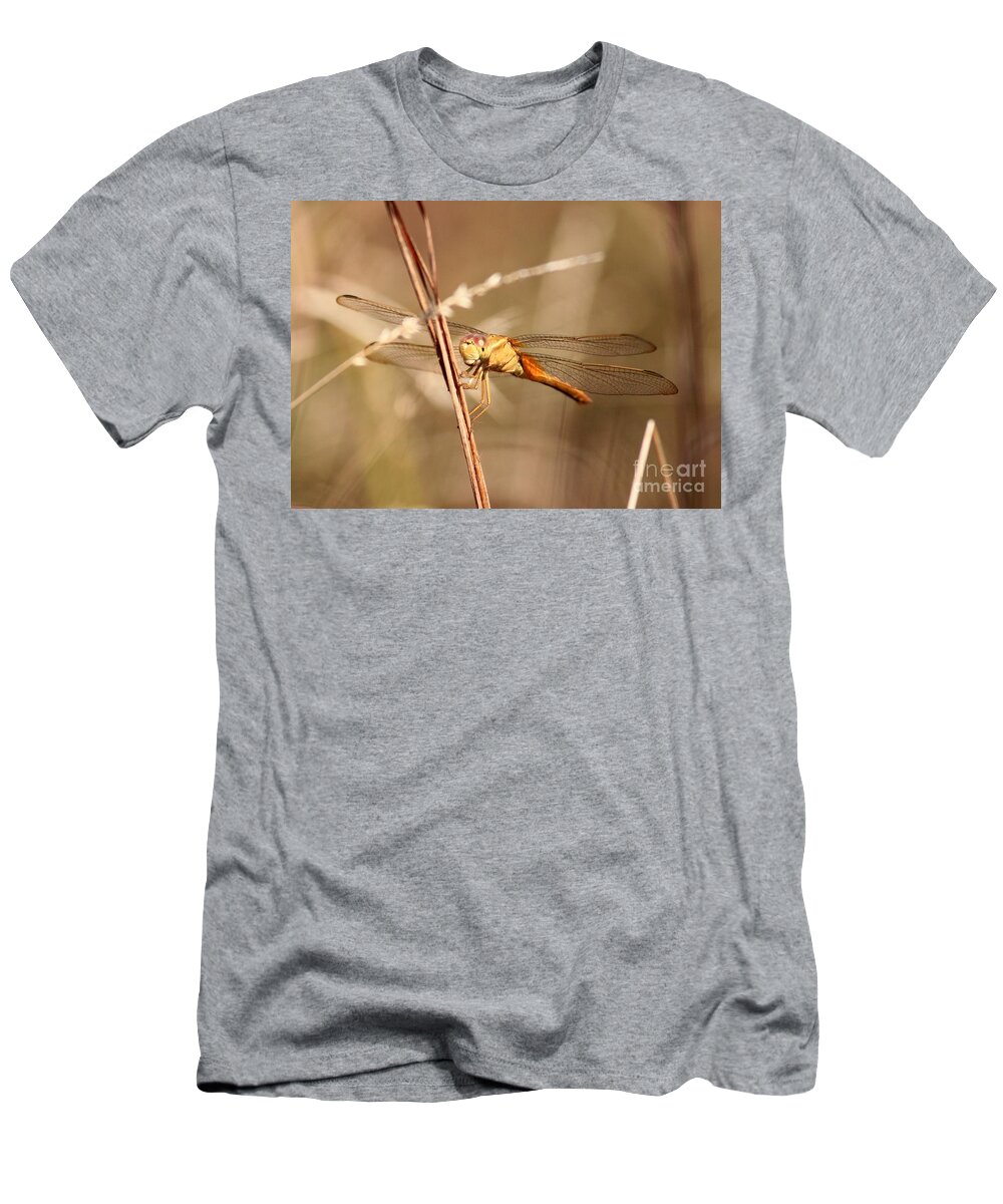 Dragonfly T-Shirt featuring the photograph Get My Good Side by Carol Groenen