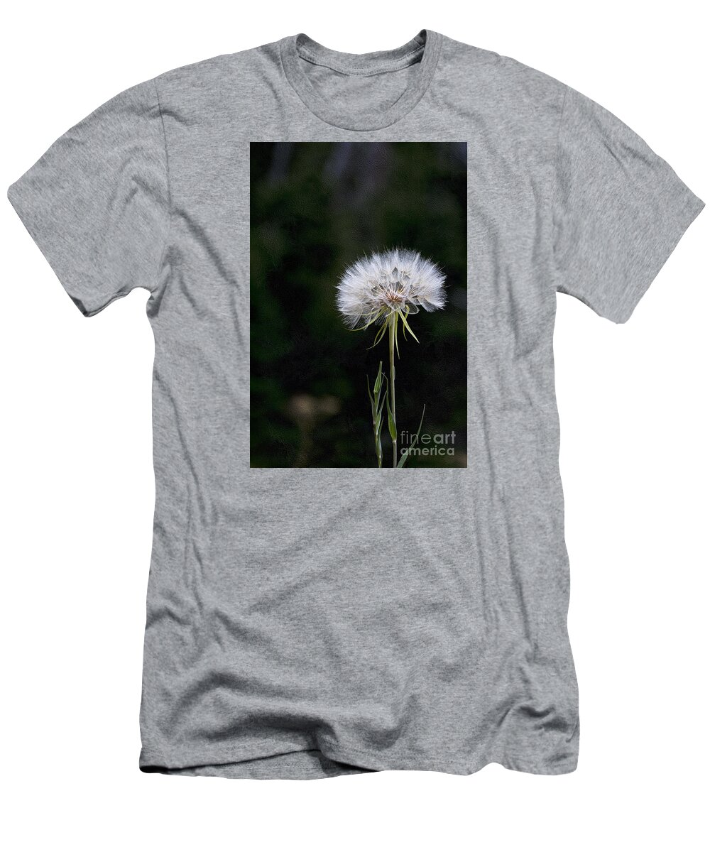 Giant Dandelion T-Shirt featuring the photograph Giant Dandelion Salsify by Jemmy Archer