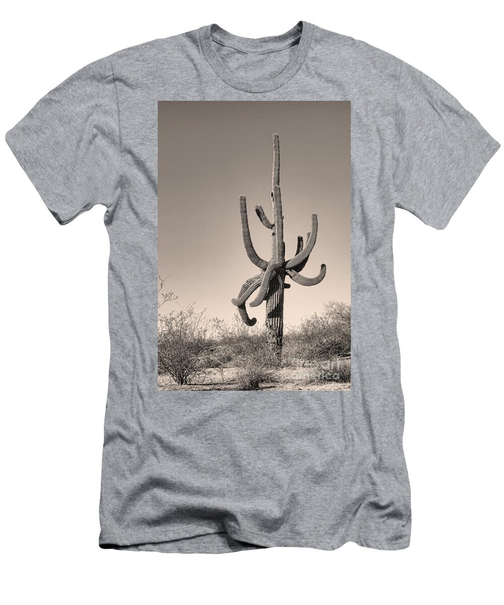Saguaro T-Shirt featuring the photograph Giant Saguaro Cactus Sepia Image by James BO Insogna