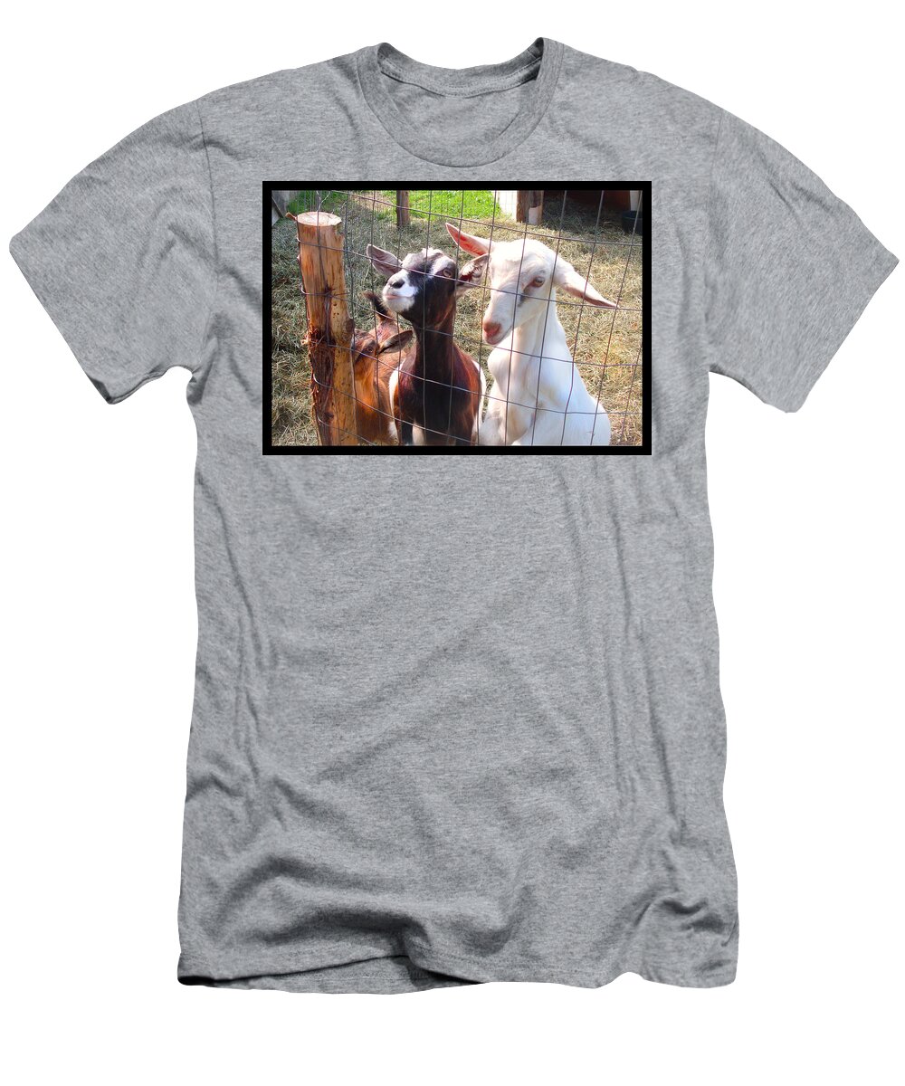 Young Goats T-Shirt featuring the photograph Goats by Felipe Adan Lerma