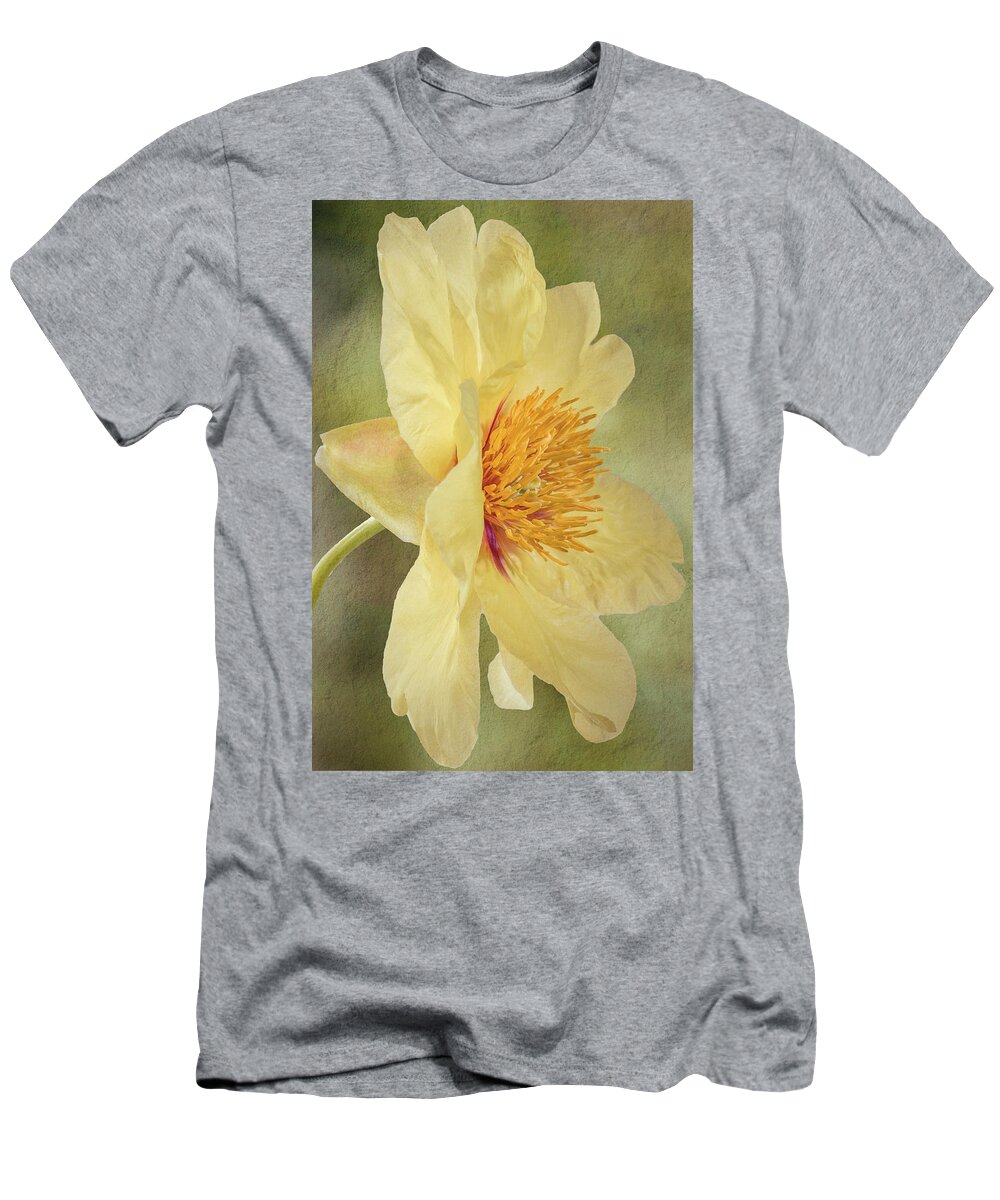 Peony T-Shirt featuring the photograph Golden Bowl Tree Peony Bloom - Profile by Patti Deters