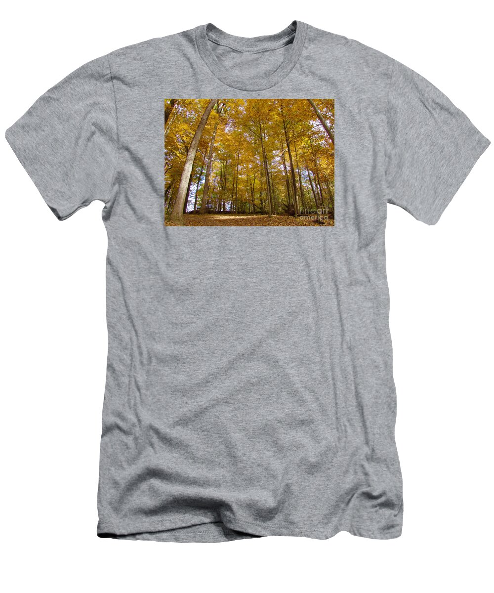 Yellow T-Shirt featuring the photograph Golden Canopy by Pamela Clements