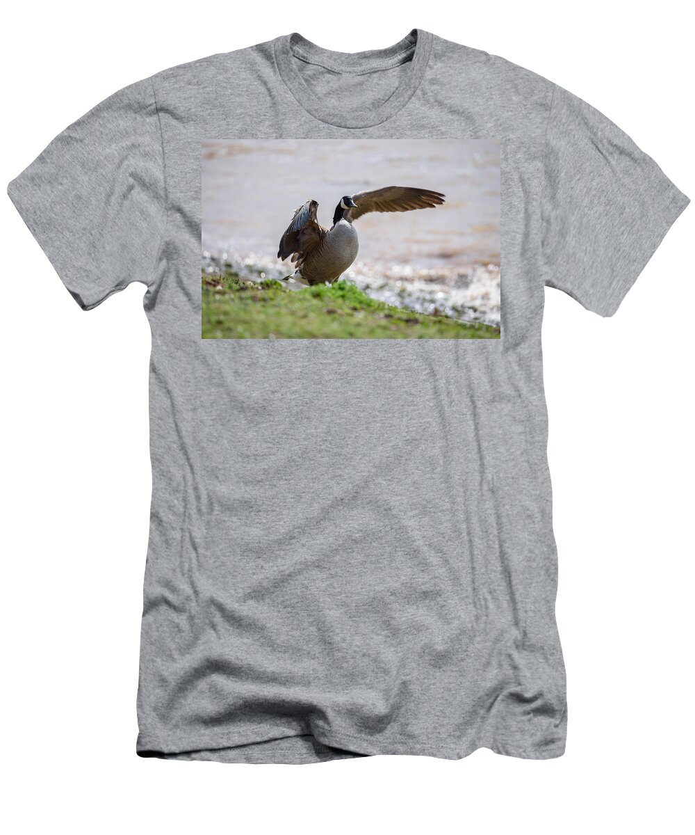 Goose T-Shirt featuring the photograph Goose by Holden The Moment