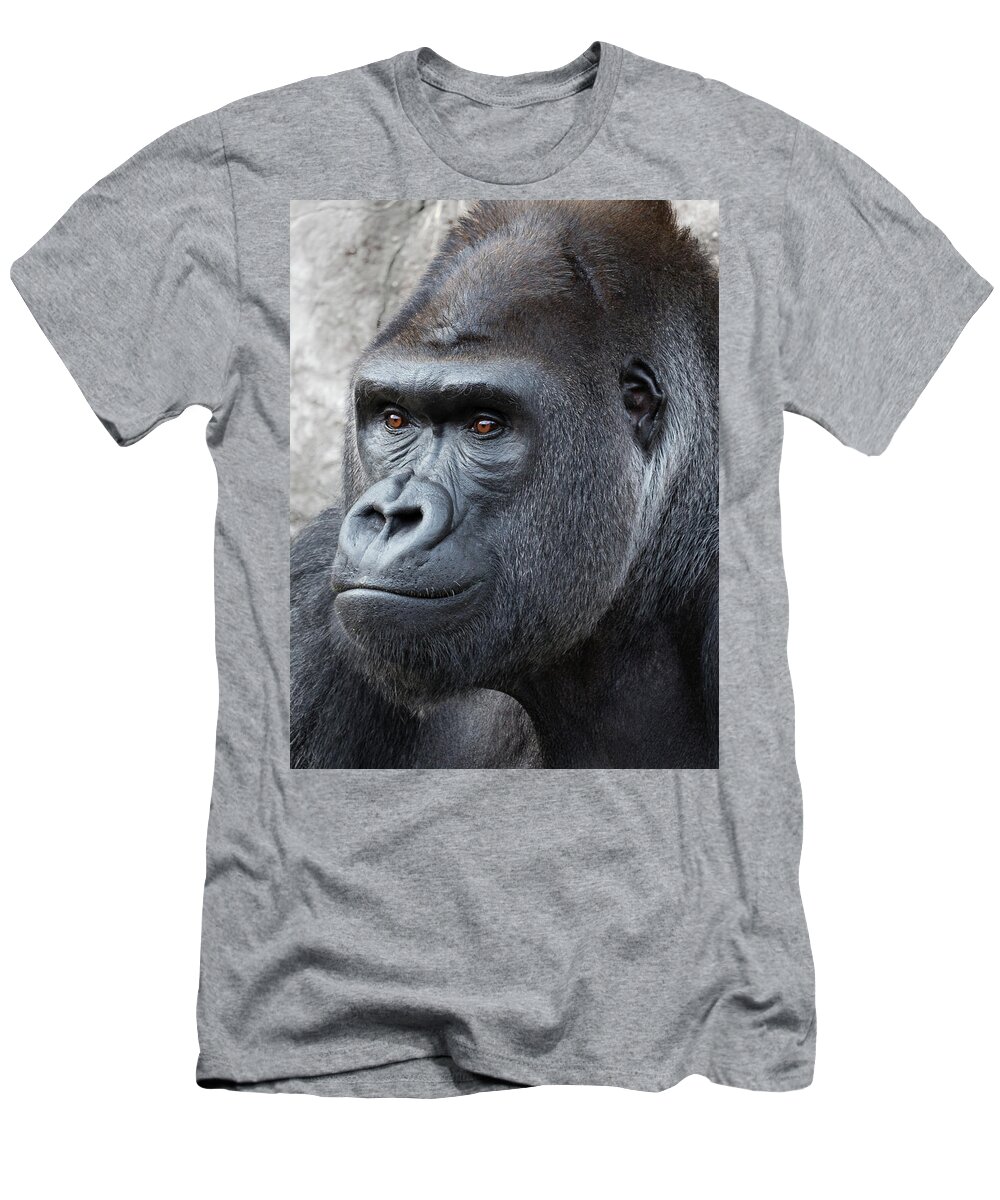 Gorilla T shirt District Mens Tank