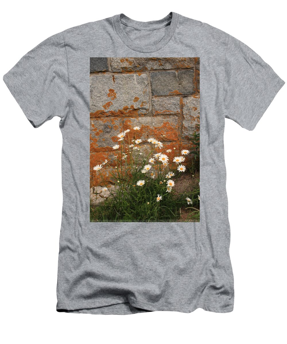 Landscape T-Shirt featuring the photograph Granite Daisies by Doug Mills