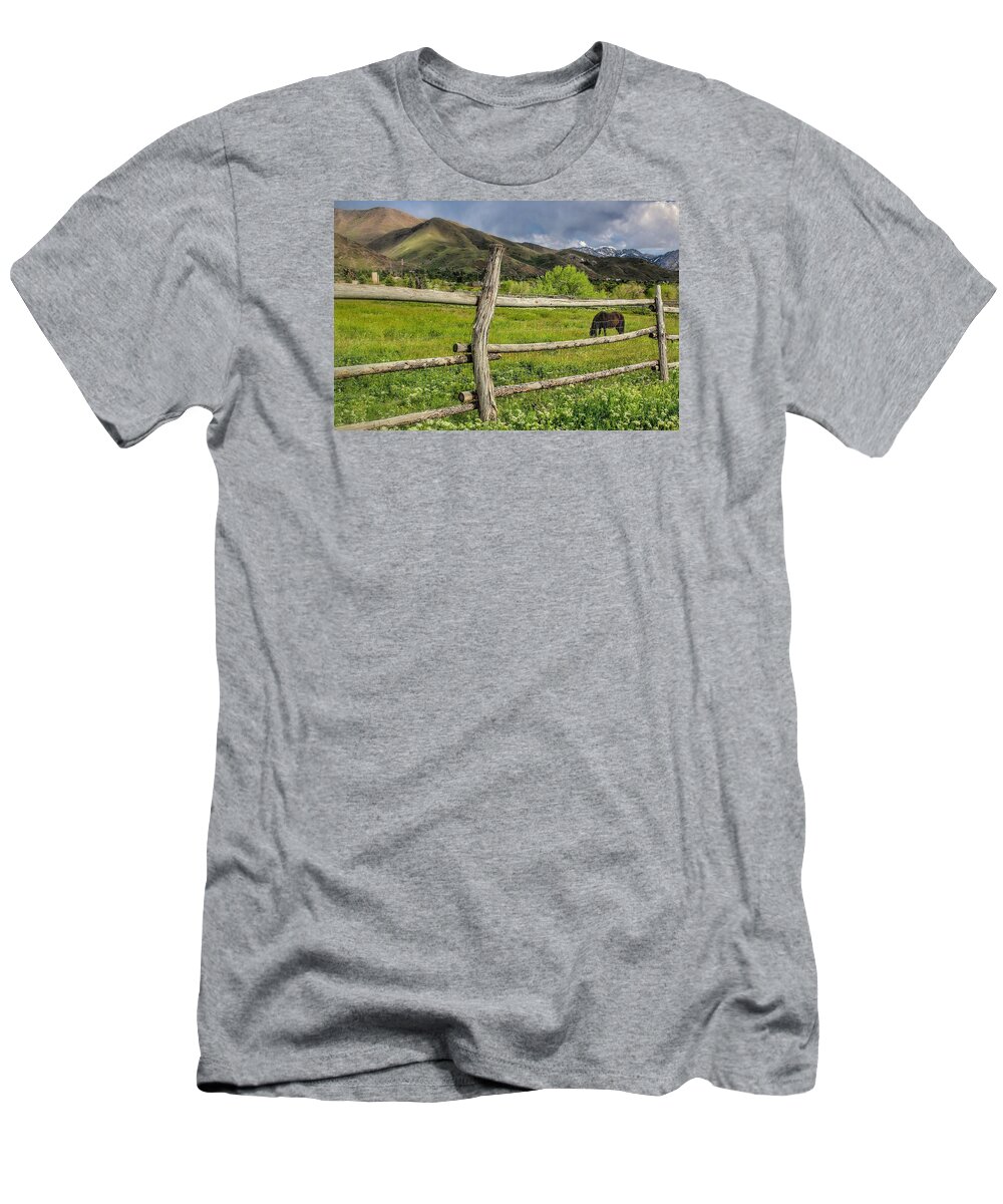 Horse T-Shirt featuring the photograph Grazing in The Meadow by Buck Buchanan