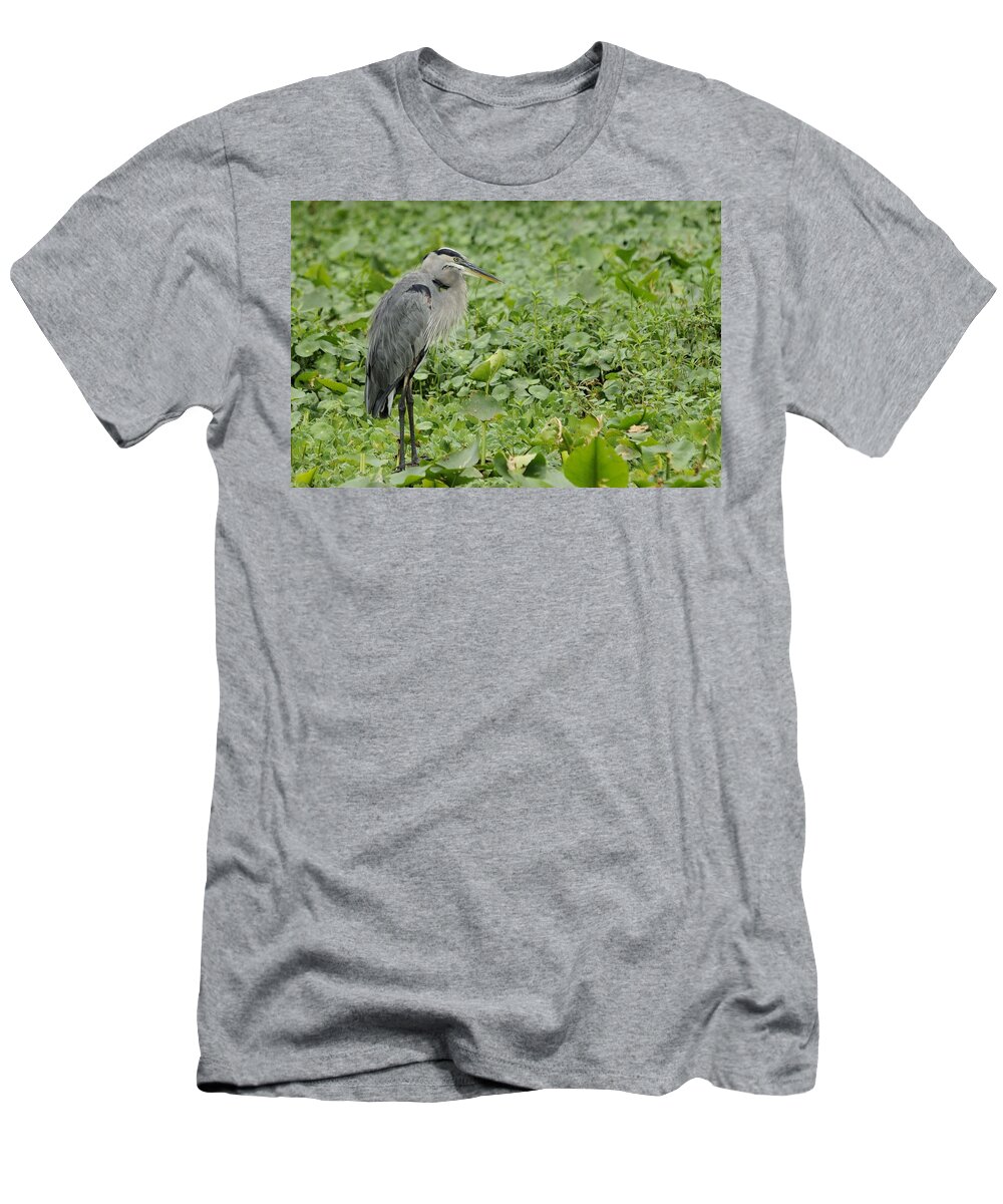Great Blue Heron T-Shirt featuring the photograph Great Blue Heron and Water Lilies by Bradford Martin