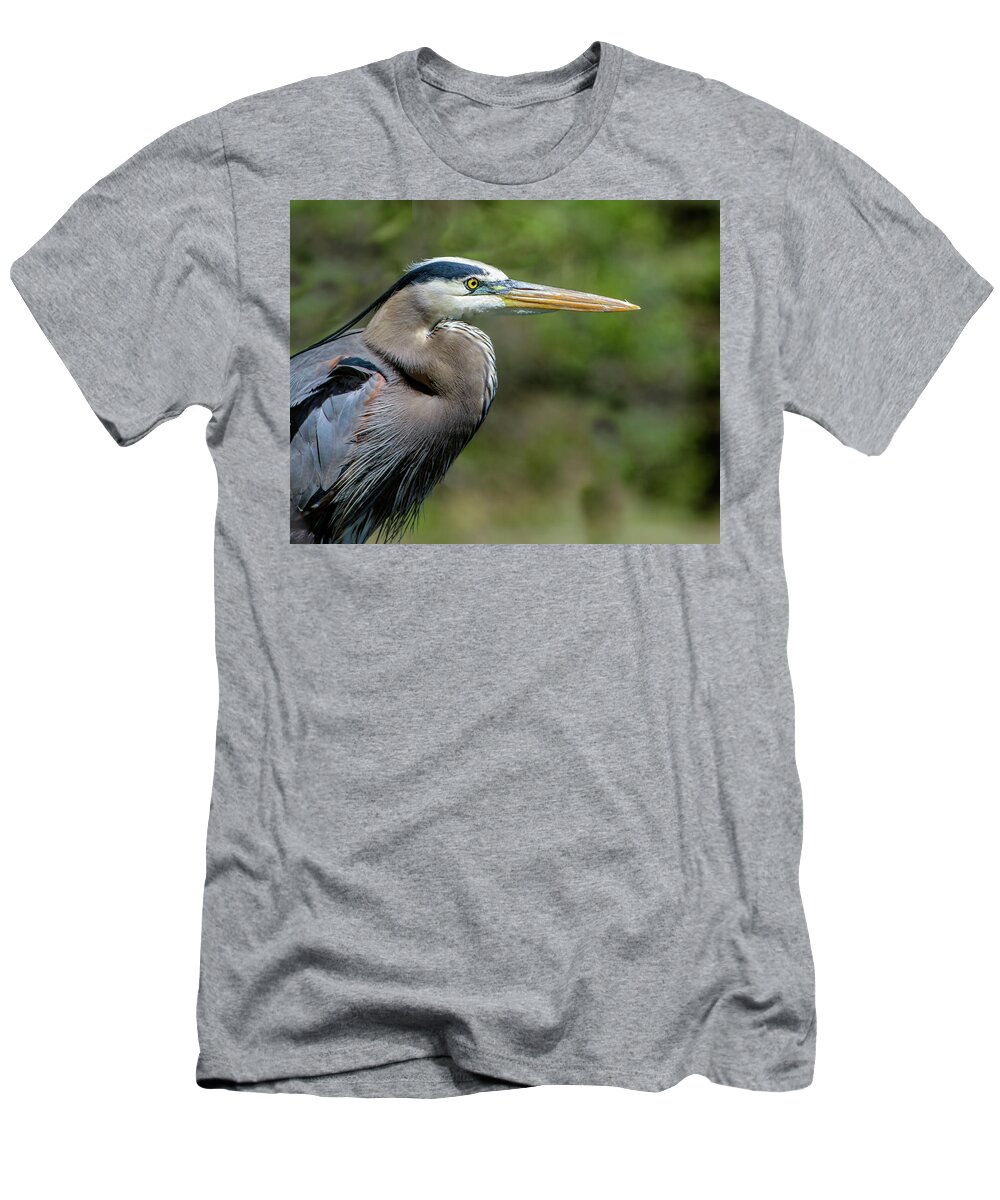 Ardea Herodias T-Shirt featuring the photograph Great Blue Heron Portrait by Dawn Key