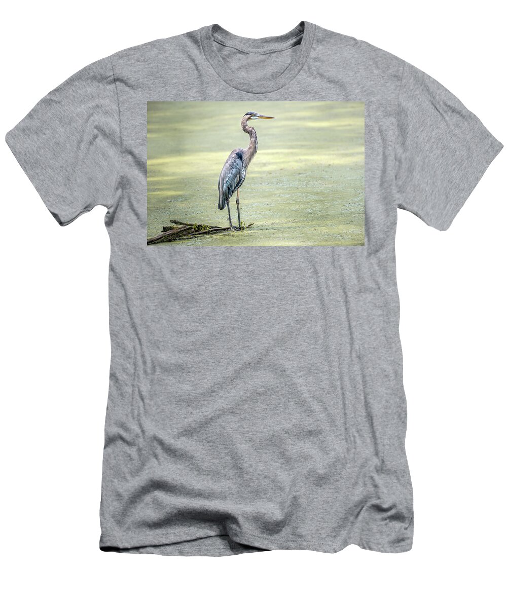 Great Blue Heron T-Shirt featuring the photograph Great Blue Heron standing in a marsh by Patrick Wolf