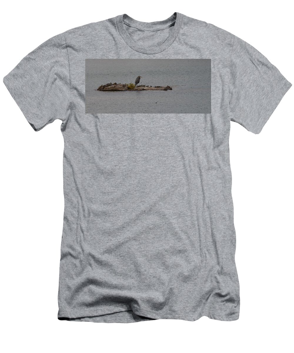 Great T-Shirt featuring the photograph Great blue heron surrounded by tutles by James Smullins