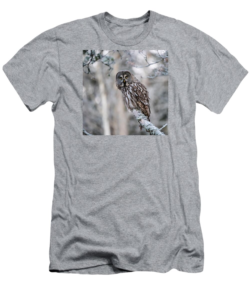 Great Gray Owl T-Shirt featuring the photograph Great Grey Owl by Torbjorn Swenelius