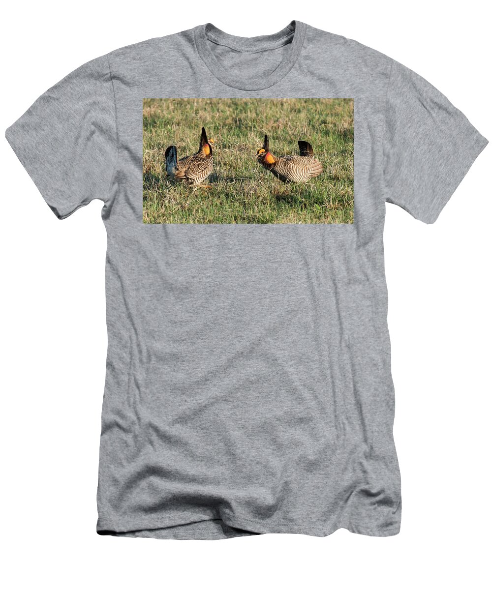 Greater Prairie Chicken T-Shirt featuring the photograph Greater Prairie Chicken Males 3 by David Drew