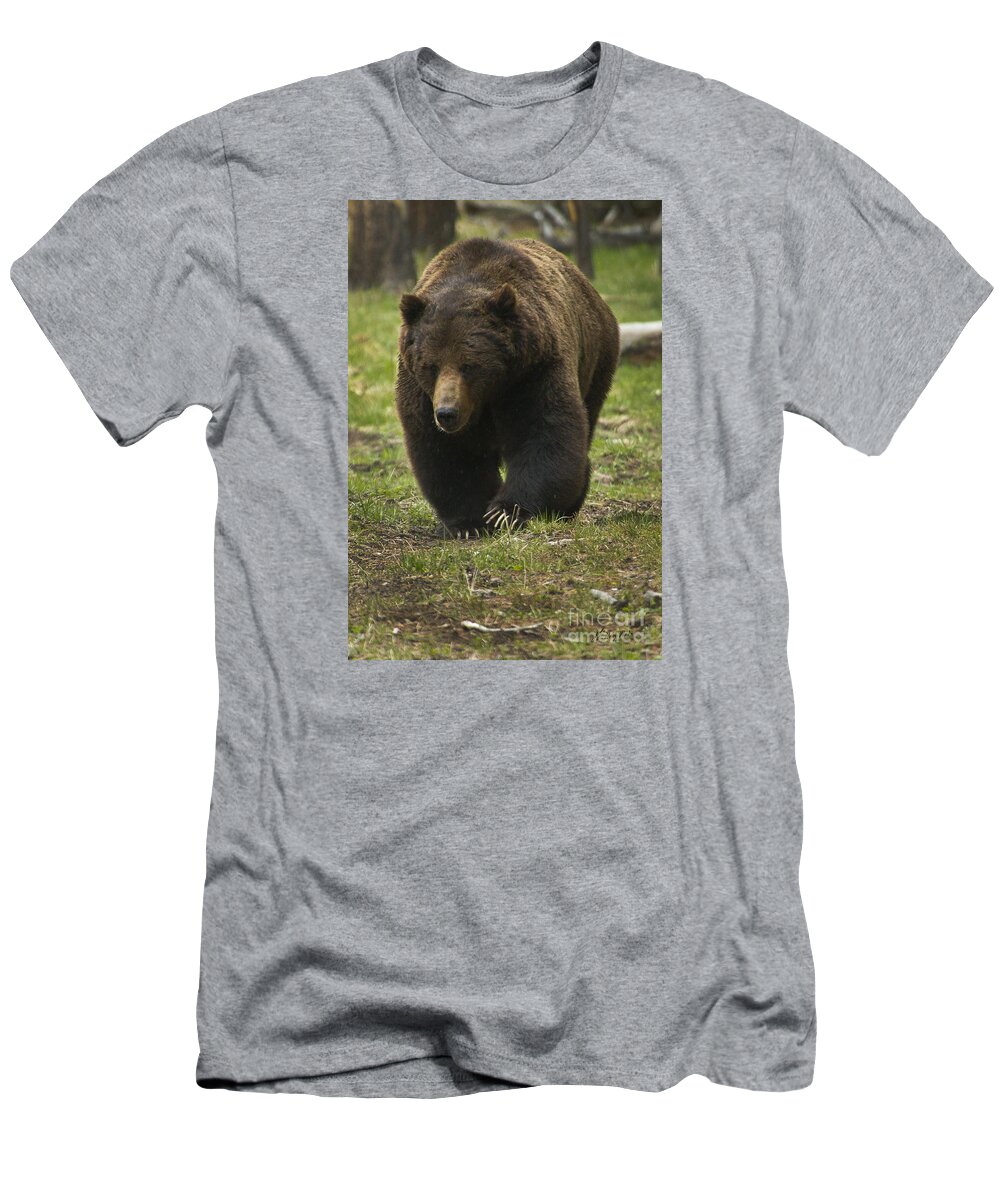 Bear T-Shirt featuring the photograph Grizzly Boar-Signed-#7914 by J L Woody Wooden