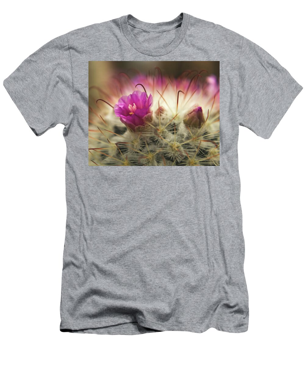 Cactus T-Shirt featuring the photograph Handle with Care by Holly Ross