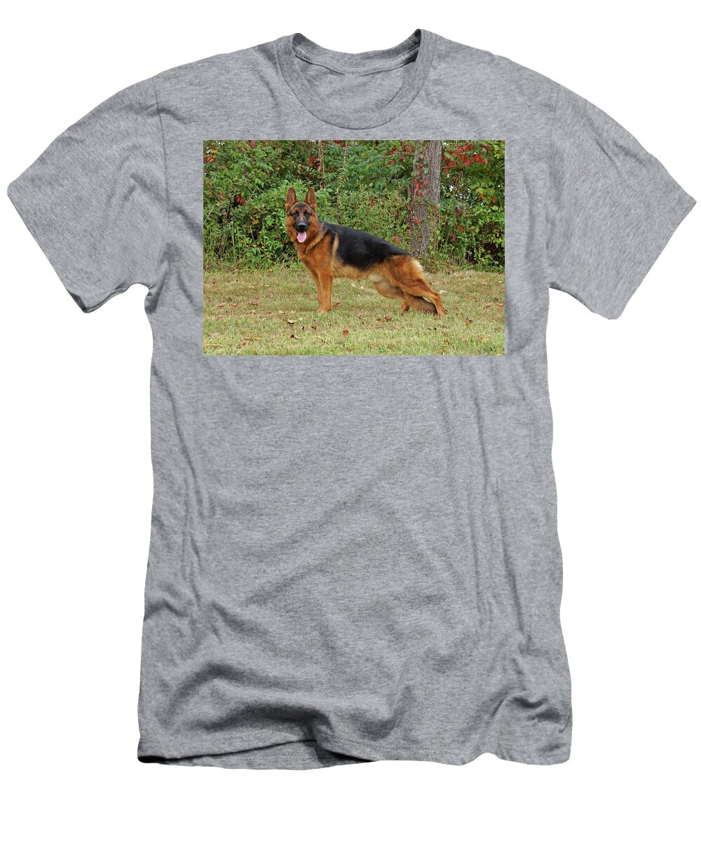 German Shepherd T-Shirt featuring the photograph Handsome Rocco by Sandy Keeton