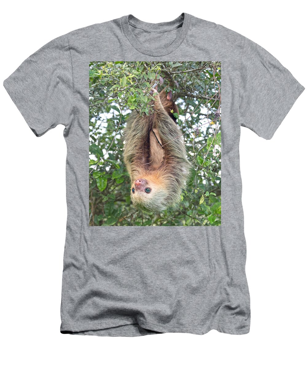 Two T-Shirt featuring the photograph Hangin in Costa Rica by Betsy Knapp