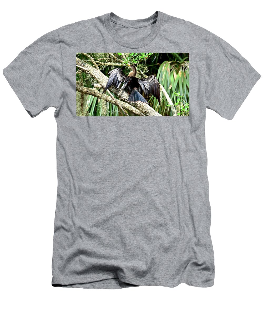Anhinga T-Shirt featuring the photograph Hanging Out to Dry by Carol Bradley