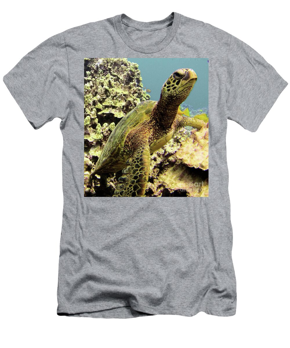 Sea Turtle T-Shirt featuring the mixed media Kona 2 by Radine Coopersmith