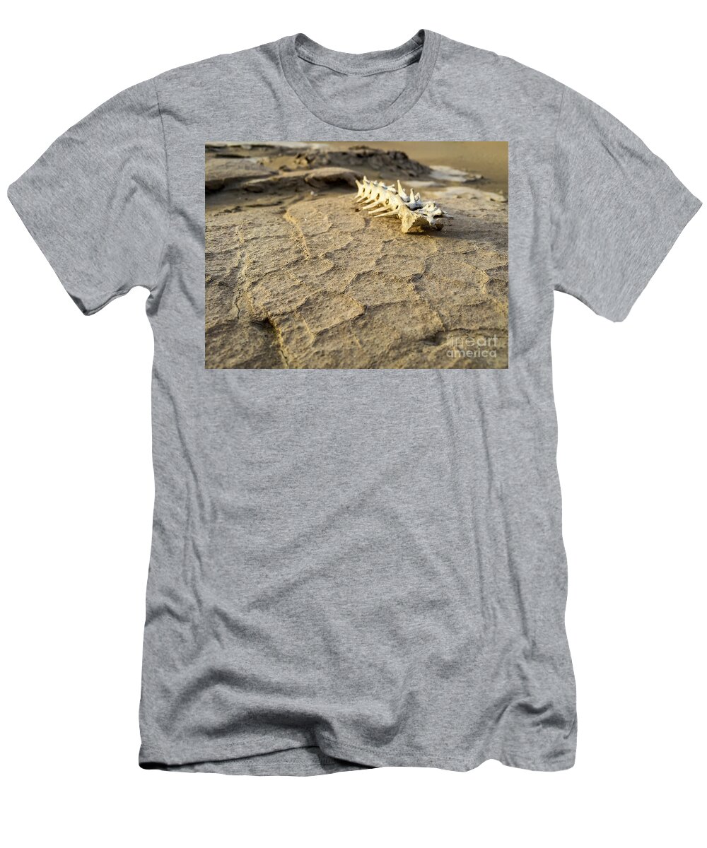 Adventure T-Shirt featuring the photograph Harsh Reality by Charles Dobbs