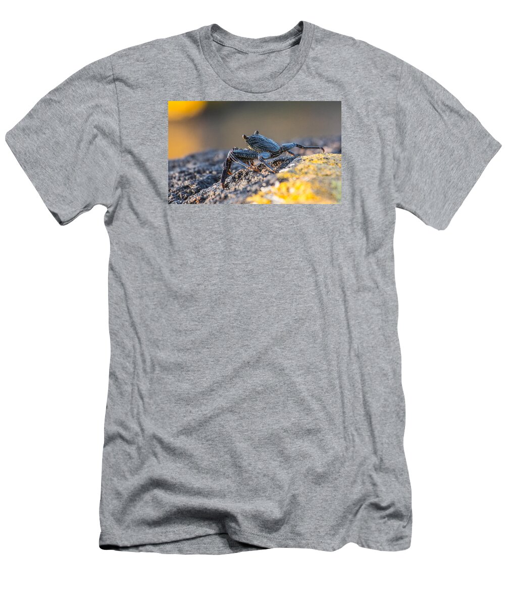 Sam Amato Photography T-Shirt featuring the photograph Hawaiian Rock Crab by Sam Amato