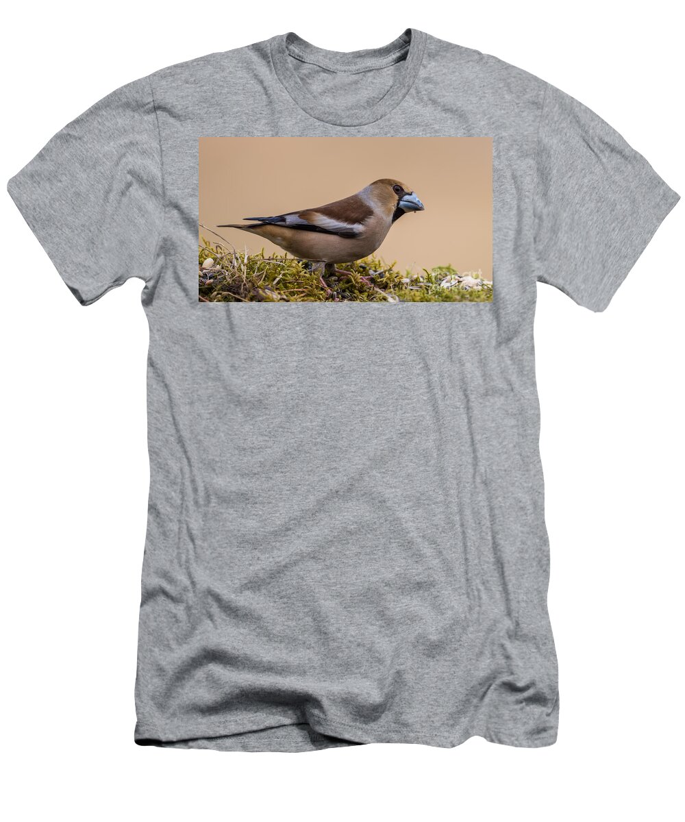 Hawfinch's Beak T-Shirt featuring the photograph Hawfinch's beak by Torbjorn Swenelius