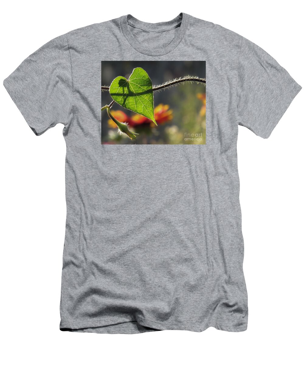 Nature T-Shirt featuring the photograph Heart Leaf 1 by Christy Garavetto