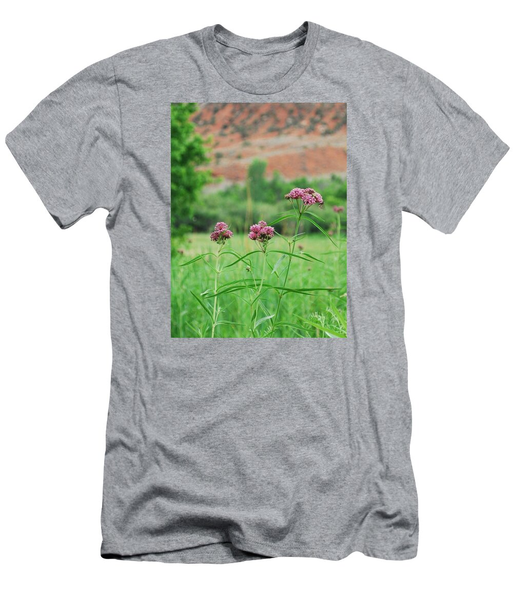 Dinosaur National Monument T-Shirt featuring the photograph Heat Retreat by Brad Hodges